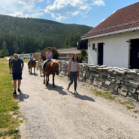 Hegna Camping Seljord Zewnętrze zdjęcie