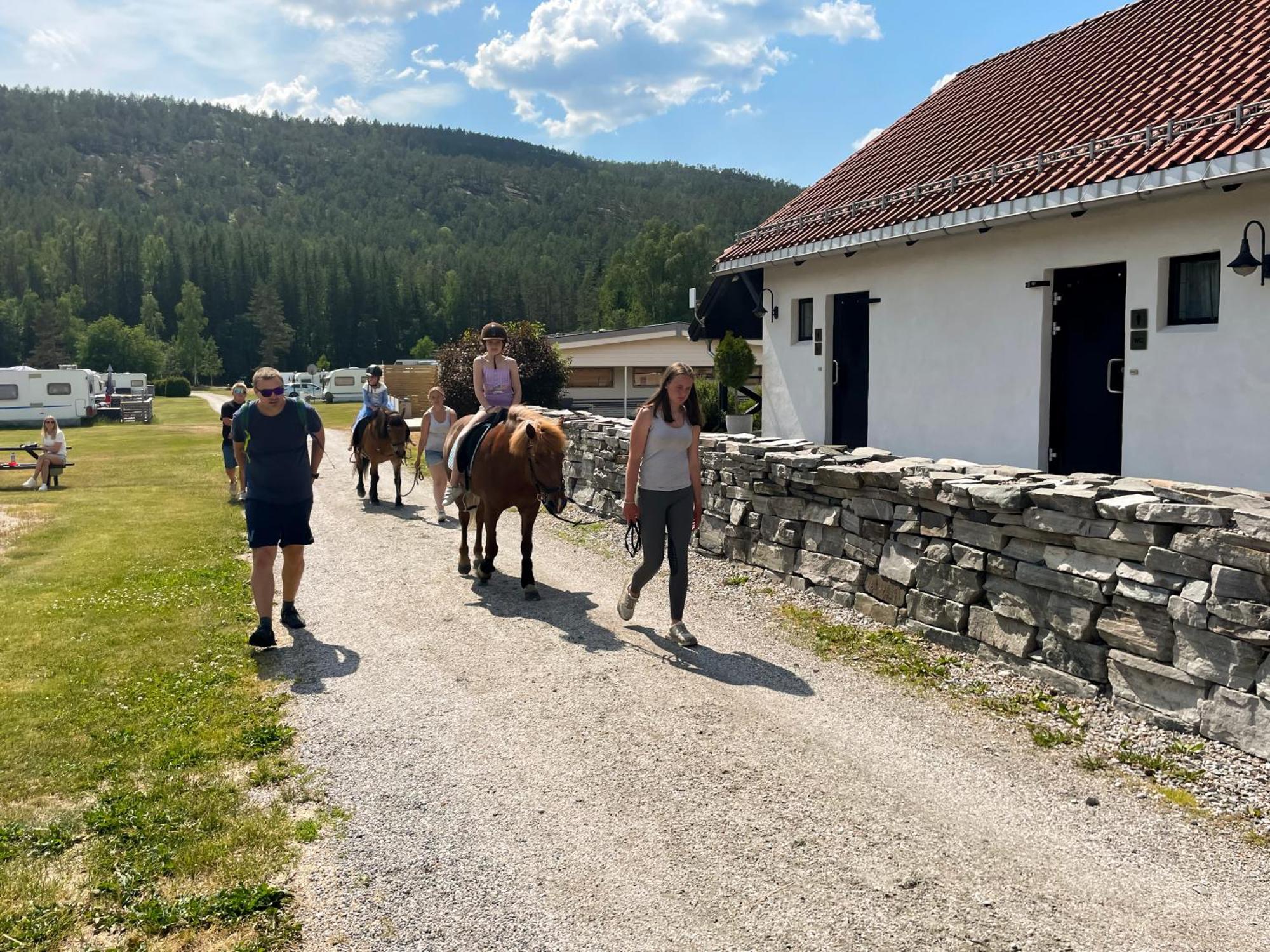 Hegna Camping Seljord Zewnętrze zdjęcie
